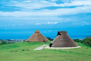 パワースポット「五斗長垣内遺跡」 アワタビ