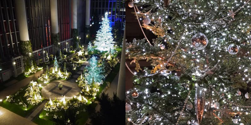 ライトアップ クリスマスフラワーショー