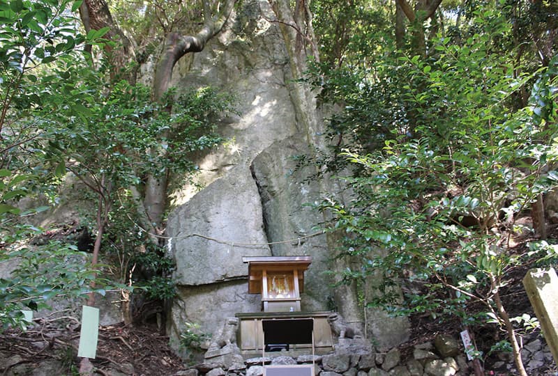 パワースポット 岩戸神社 アワタビ