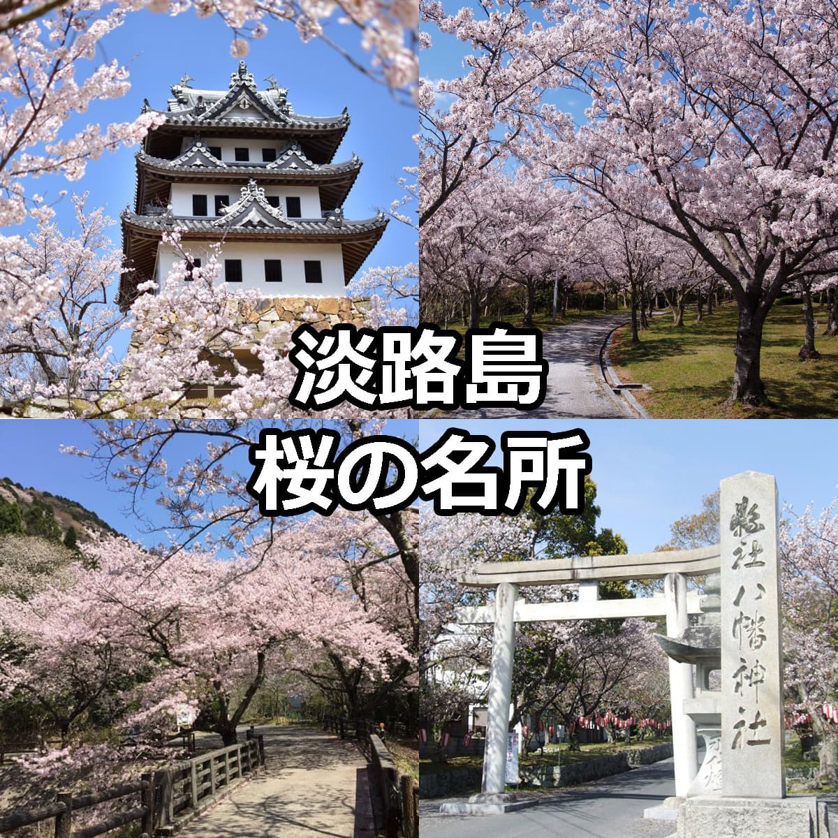 淡路島 桜の名所