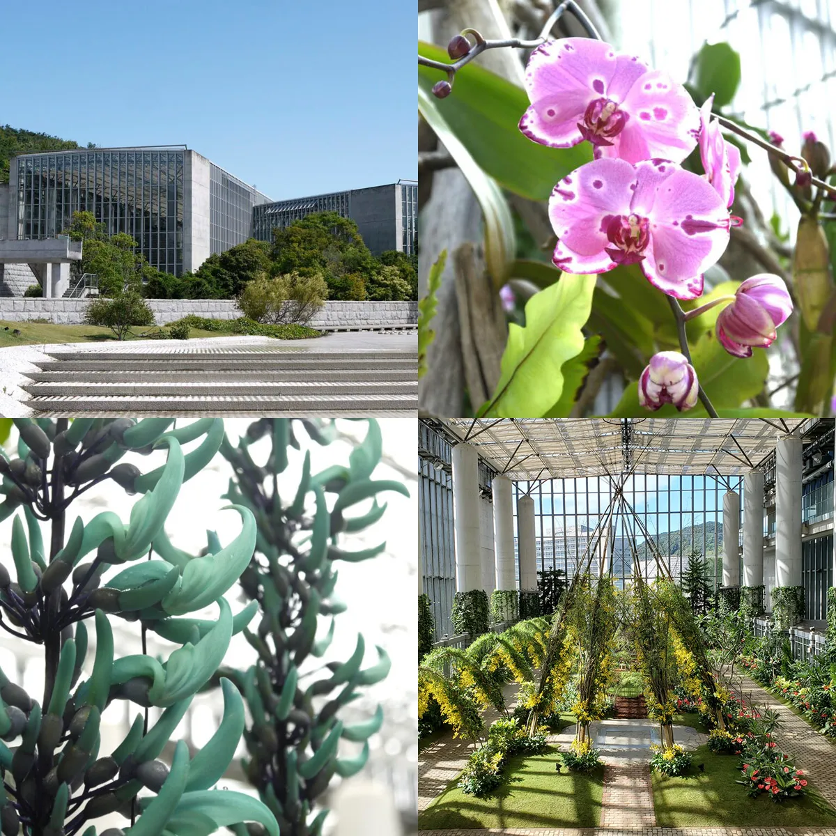 スプリングフェスティバル あわじグリーン館