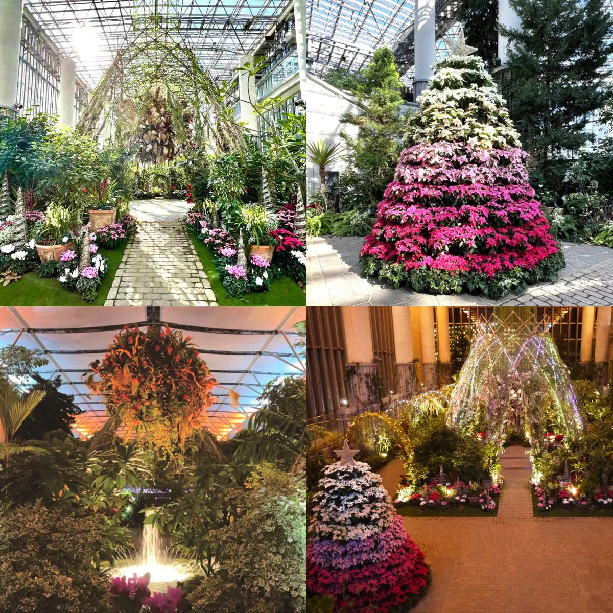 ウインターガーデン あわじグリーン館