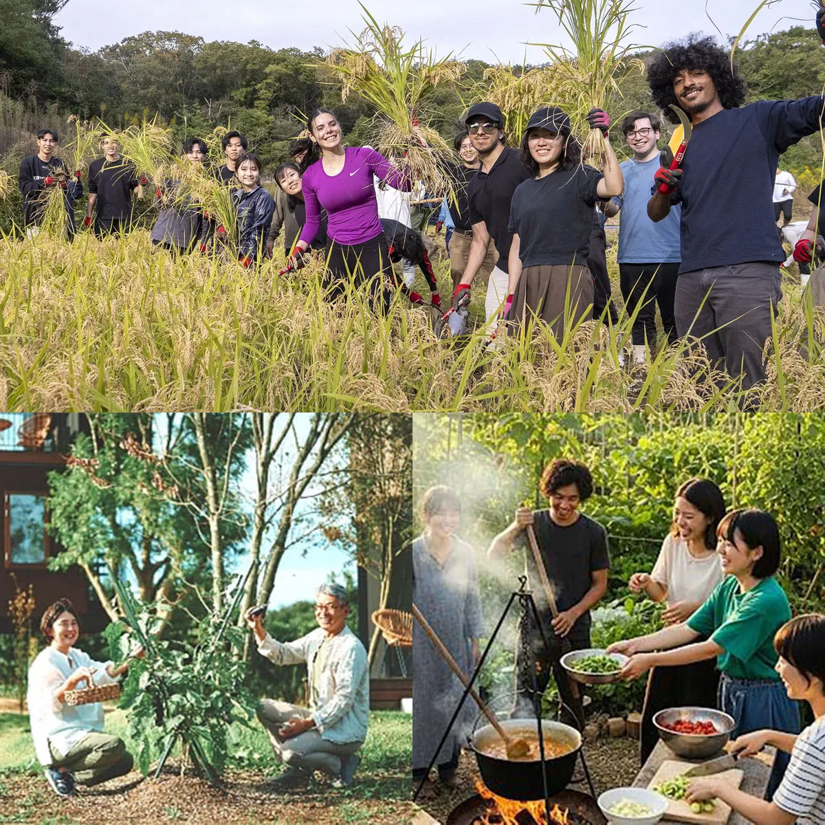 バーチャル島民制度「NATUREVERSE Islander」新規会員募集